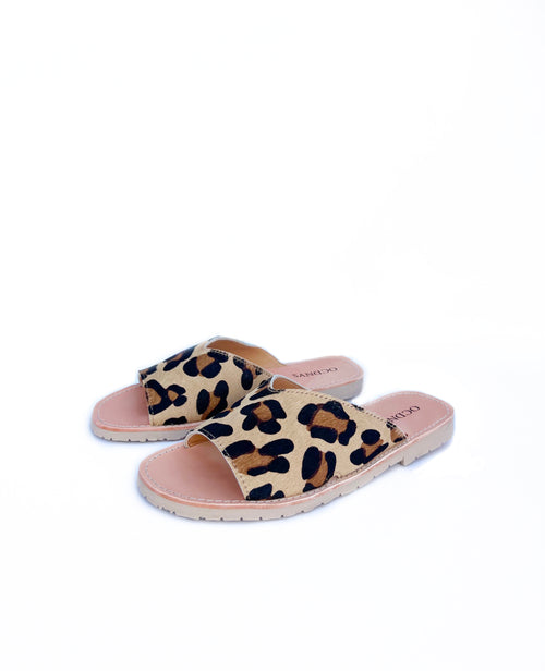 Pal Animal Print